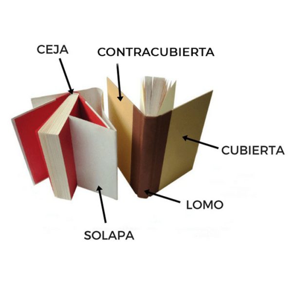 Tesis - Imagen 2
